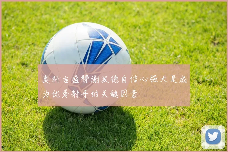 奥科吉盛赞谢泼德自信心强大是成为优秀射手的关键因素