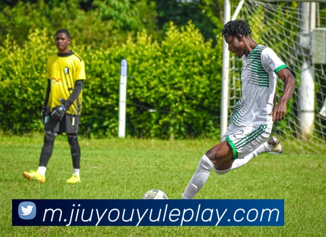 九游娱乐平台生态图