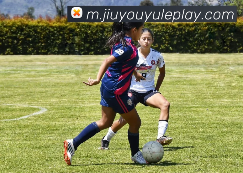 数据防护可视化